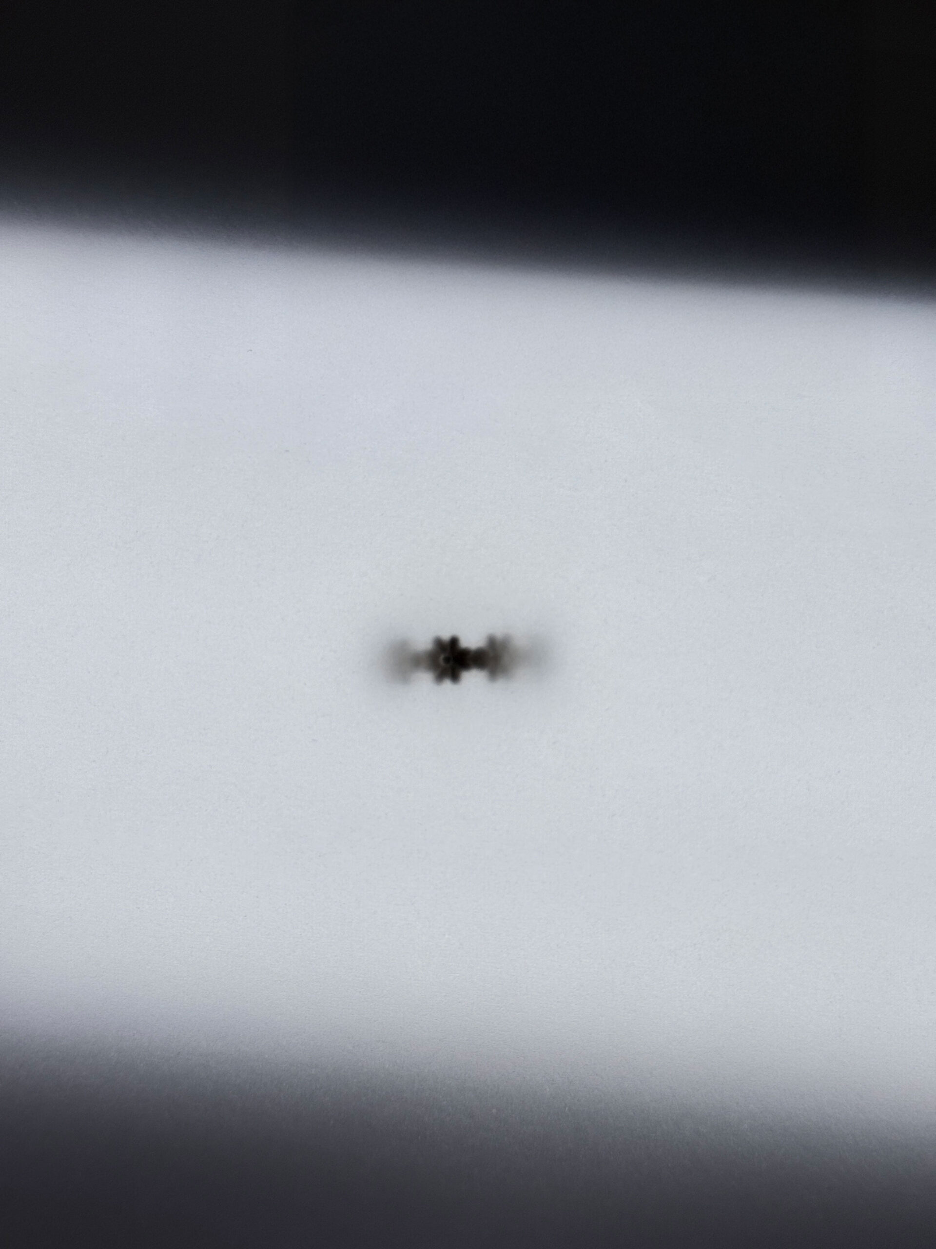 Still life - Daisy Open Ring