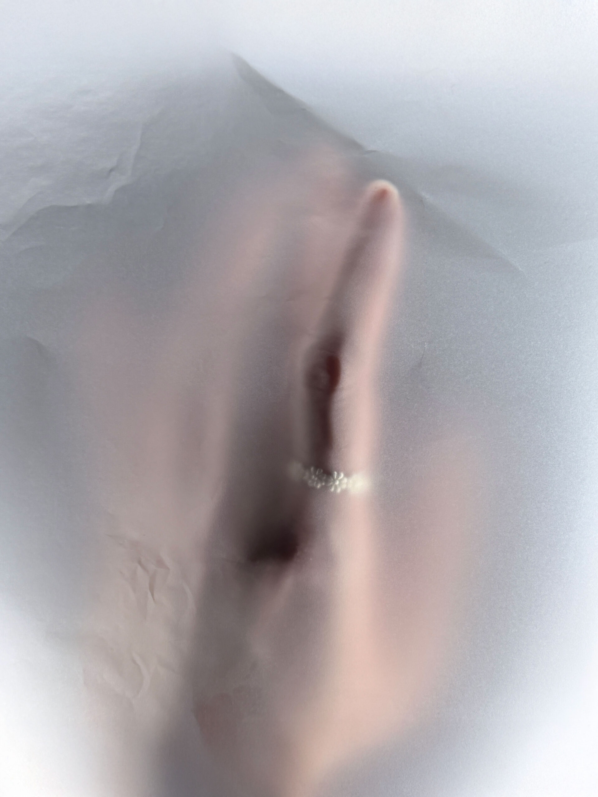 Model wearing 925 실버 데이지 오픈 링