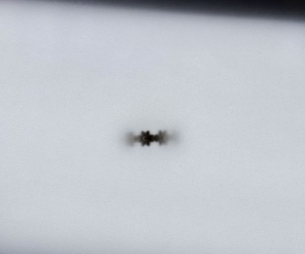 Still life - Daisy Open Ring